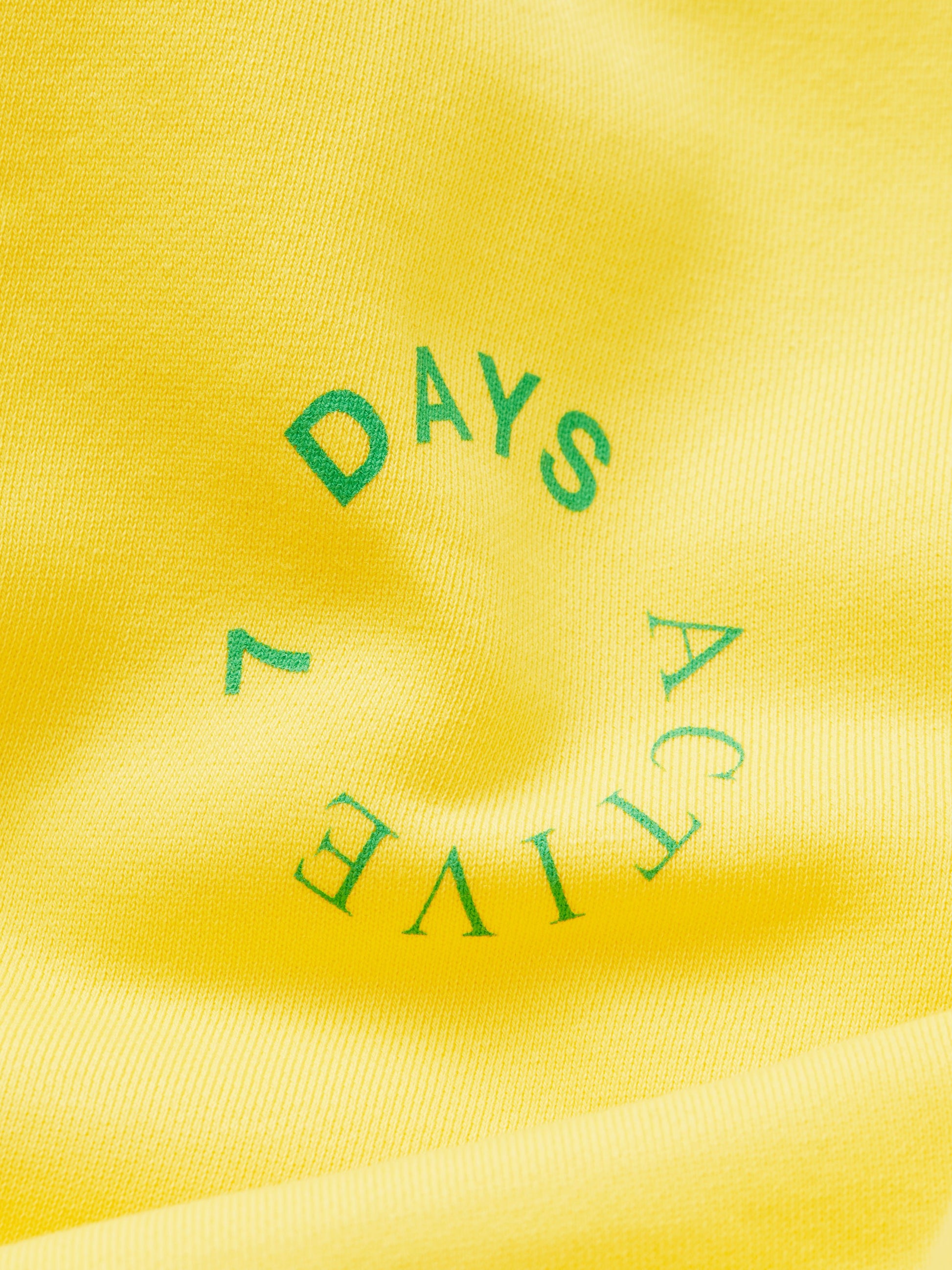 7 DAYS Monday Pants Sweatpants 803 Blazing Yellow
